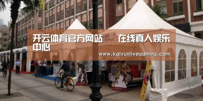 案例标题九