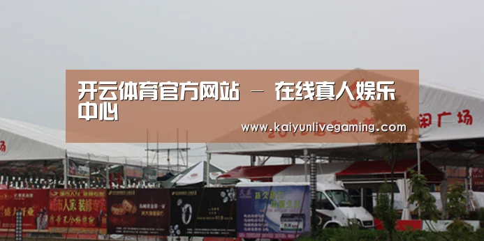 案例标题十
