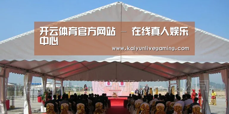 案例标题三