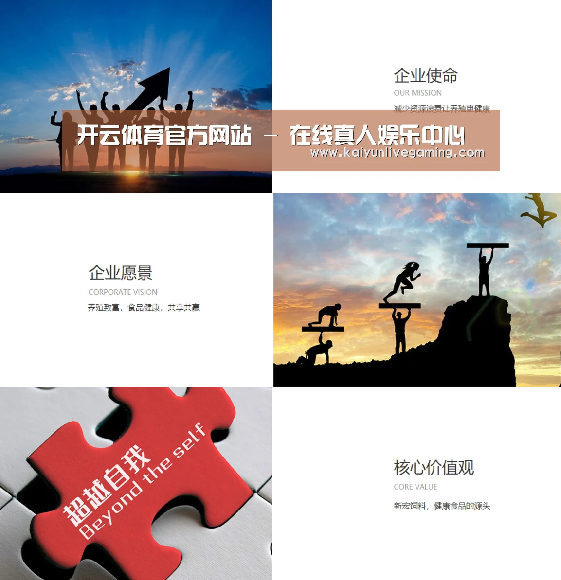 企业文化(图1)